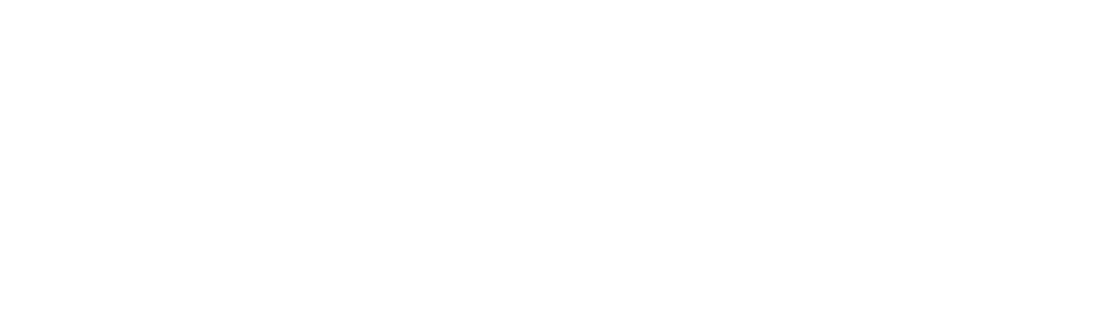 NordVPN logo and interface highlighting advanced security features and fast, reliable VPN connections for safe internet browsing.